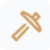 Icono